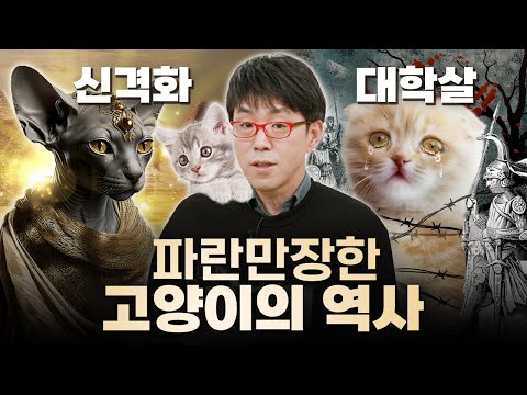 [집사들 충격주의] 롤러코스터같았던 고양이의 역사 5,000년