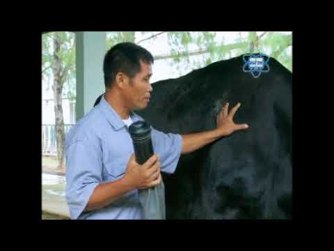 การรีดน้ำเชื้อ