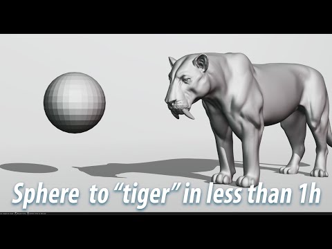 Making a Tiger in Blender for about an hour from sphere