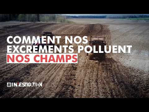 Boues d'épuration : nos terres empoisonnées  | #Investigation