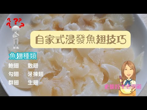 [海味乾貨浸發] 過節招呼親朋必煮的菜式, 教你簡單浸發魚翅的技巧, 認識魚翅種類做個醒目的消費者!