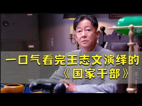 一口气看完《国家干部》4个半小时解说，一个为人民为群众办实事的好市长！