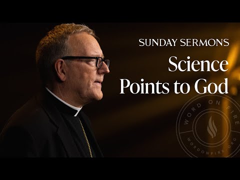 Science Points to God - Bishop Barron's Sunday Sermon