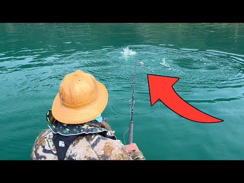 The Boys set up a Big Fish Ambush (Milan has a new Cameraman for a day)