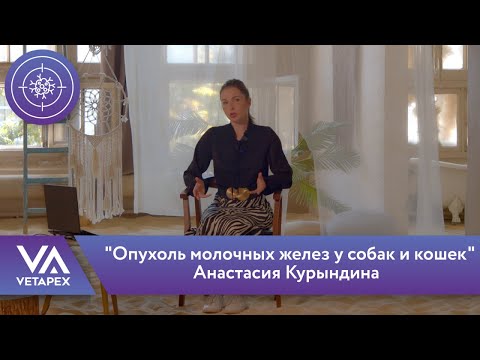 Кафедра Онкологии - "Опухоль молочных желез у собак и кошек"