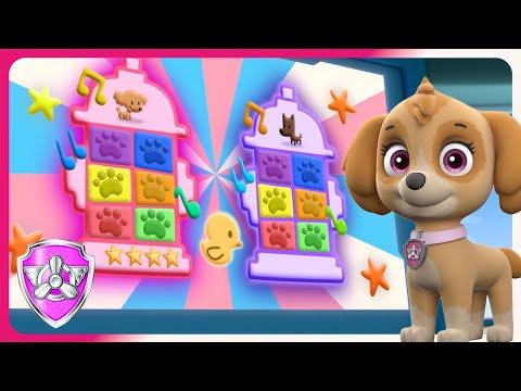 Pup Pup Boogie | Skye - PAW Patrol and Friends | Chase Learns How To Dance | Cartoons for Kids