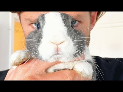 Woman lost interest in animals due to a cat. Then this bunny came into her life.