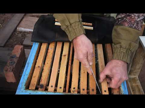 Зимовка маток  в изоляторах.  Нюансы,  двухматочная зимовка.