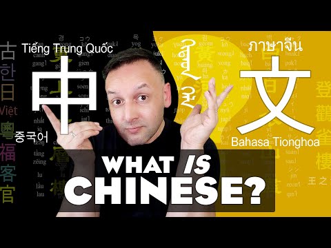 中文 😮 What is Chinese? 什麼是'中文'  Understanding the Chinese Language Part 1 | Tiếng Trung Quóc
