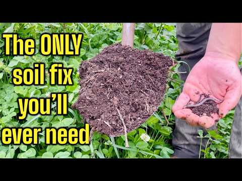 1 Method to Fix ANY Soil, the Lazy Way