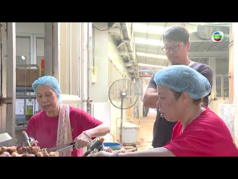 TVB 星期日檔案 | 酸甜苦辣 (繁/簡字幕) | 無綫新聞 TVB News