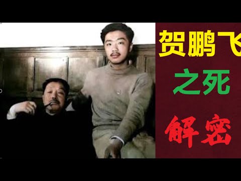 贺龙之子 贺鹏飞之死解密  (中文字幕)