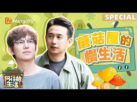 【收官特辑】黄磊何炅彭昱畅张子枫坐船夜游乌镇 谭松韵张子枫姐妹乌镇逛吃谈心 《向往的生活·戏如人生》 | Back to Field· The Stage of Life | MangoTV