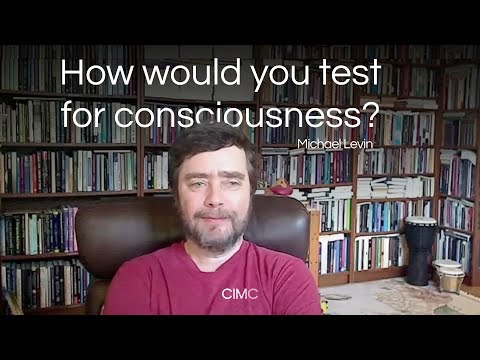 Michael Levin: How would you test for consciousness?