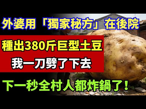 外婆用「獨家秘方」在後院種出380斤巨型土豆，我一刀劈了下去，下一幕全村人都炸鍋了！