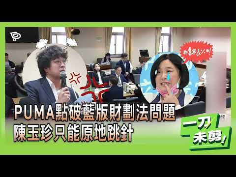 【一刀未剪】PUMA點破藍版財劃法問題 陳玉珍只能原地跳針