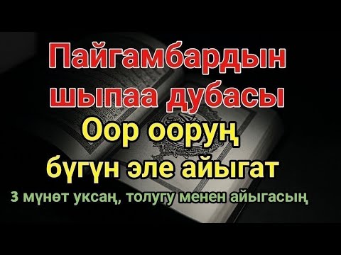 Пайгамбардын дубасы — 3 мүнөттө айыгасың! Угуп коюу эле жетиштүү