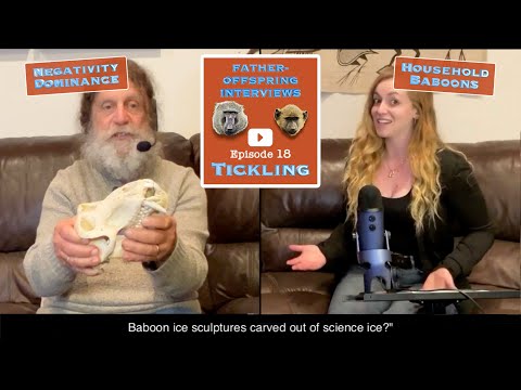 Tickling, Negativity Dominance, Household Baboons | Robert Sapolsky Father-Offspring Interviews #18