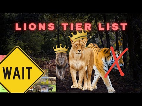 I Did A Tier List Of Who I Think A Lion Could Beat..