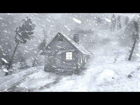 Frozen Night Howl: Blizzard Winds & Falling Snow for Rest