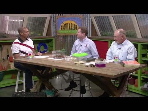 The Family Plot - January 3, 2026