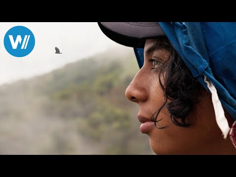 Refuge in the Andes - Colombia's indigenous trans women (ARTE 360° Reportage)