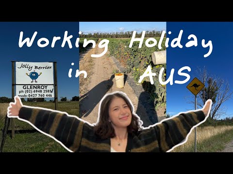 🇦🇺澳洲打工度假Q&A / 怎麼申請？準備多少錢？怎麼辦三大號？工作住宿怎麼找？需要旅伴嗎？