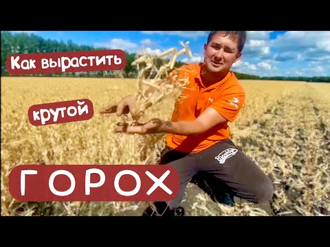 ГОРОХ - наша технология  🌱