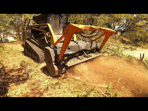 VAGRANTS CAME BACK AFTER I MULCHED THIS CITY VIOLATION THE FIRST TIME!