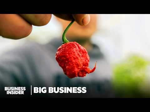 The Creator Of The World's Hottest Peppers Is Fueling A Hot Sauce Revolution | Big Business