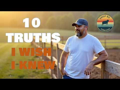 10 Truths About Sheep Farming I Wish I Knew 5 Years Ago