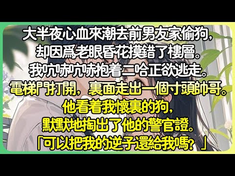 現言沙雕💕大半夜心血來潮去前男友家偷狗，卻因為老眼昏花摸錯了樓層。我吭哧吭哧抱著二哈正欲逃走。電梯門打開，裡面走出一個寸頭帥哥。他看著我懷裡的狗，「可以把我的逆子還給我嗎？」#薄荷听书