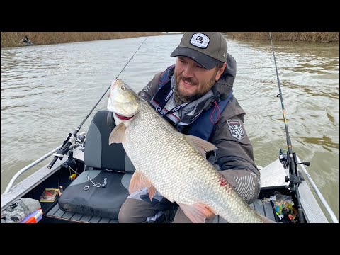 Рыбалка на Волге. Маково, база Благодать. Жерех, судак и сазан. Выезд клуба водномоторников. 10.22.