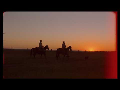 Mavericks Wanted: The Ranch Life -  Riding into a Wyoming Sunset  🐎☀️ #Shorts