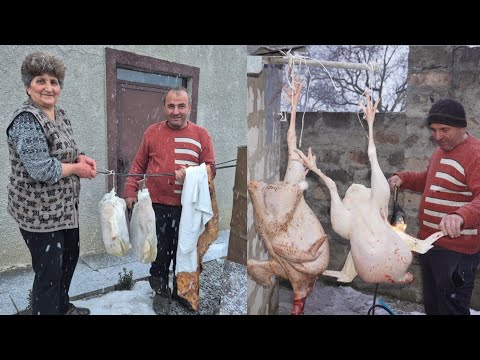 ԲՉԻՆԵՆ ( վիտչինա) ԾՈՒԽ ԵՆՔ ՏԱԼԻՍ - Շամշադինի Համը