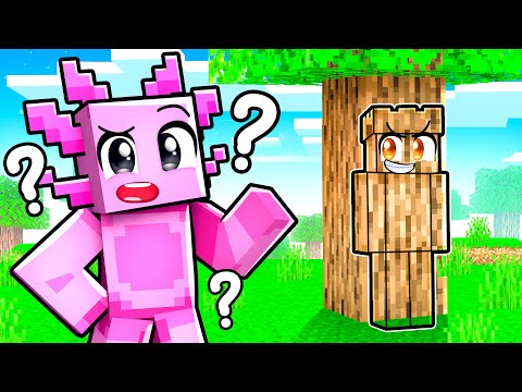 Trolling My Friends in Hide & Seek! (Minecraft)