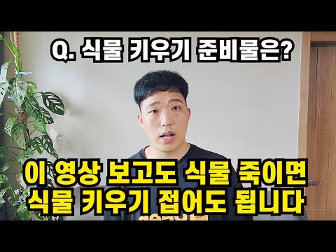 이거 보고도 식물 죽이면 식물 키우기 접어도 됨