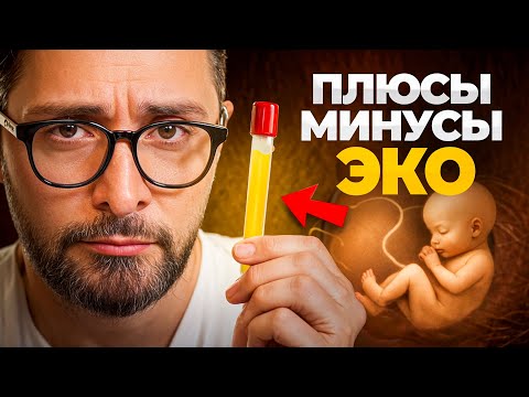 Что такое ЭКО простыми словами, плюсы и минусы такого типа зачатия