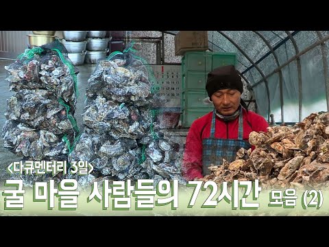 [굴 마을 이야기 2/2] 추운 겨울, 굴과 함께 살아가는 사람들의 72시간(2)｜KBS 방송