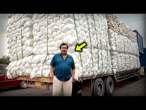 Pablo Escobar's Craziest Acts You Won't Believe Until You See Them...