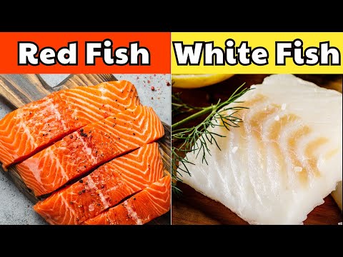 White Fish vs Red Fish: Which One Should You Eat?
