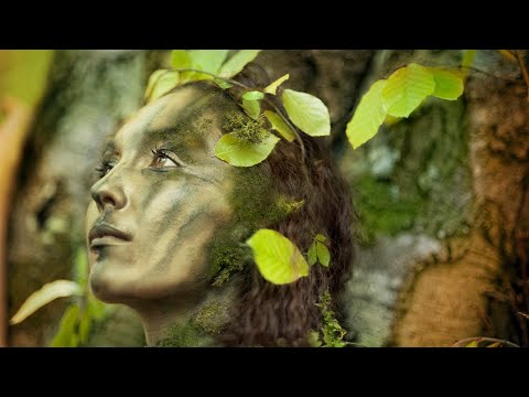 Soothing Celtic Music, The Sound of Inner Peace, Relaxing Music to Calm the Mind