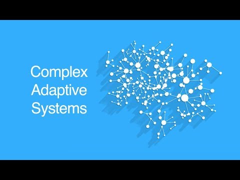 Complex Adaptive Systems