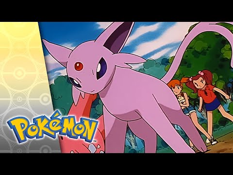 Espeon, Not Included | POKÉMON FULL EPISODE 17 | Season 5
