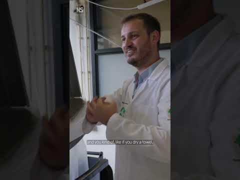 How Amsterdam is solving its urban food waste problem 🥓🚮