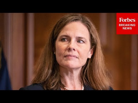 'That Raises This Question For Me': Amy Coney Barrett Presses DoJ Official On Gun Owners' Rights