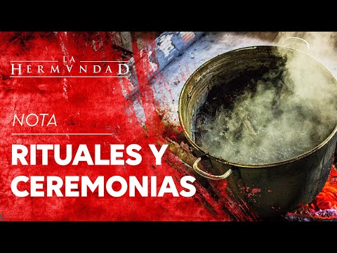MITOS Y VERDADES: ¿Qué es realmente la Ayahuasca? - La Hermandad