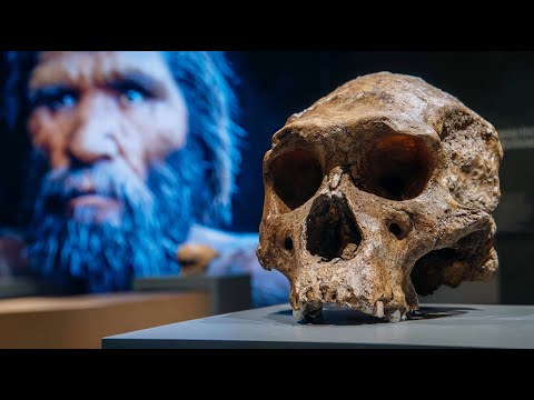 Are Europe’s “Mysterious” Fossils ACTUALLY Denisovans?