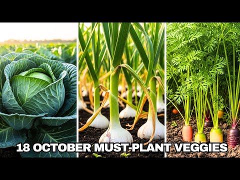 18 October Must-Plant Vegetables You’ll Regret Skipping | Get Ahead in Your Garden This Fall