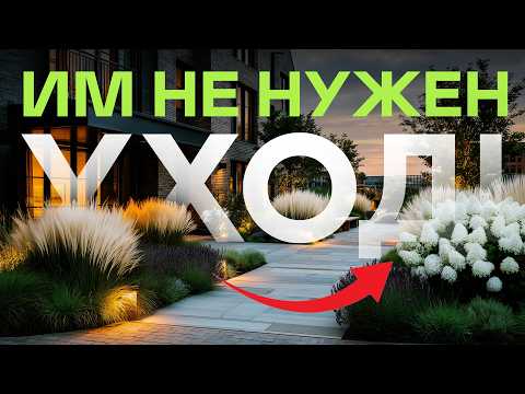 14 Plants That Make Your Yard Look Like a Luxury Apartment Complex